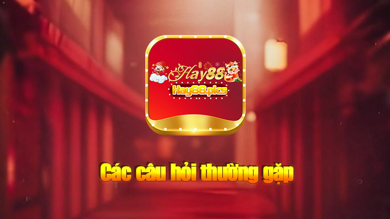 Các câu hỏi thường gặp